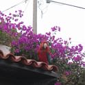 Peru 0183